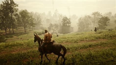 RDR2 Enhanced Edition .